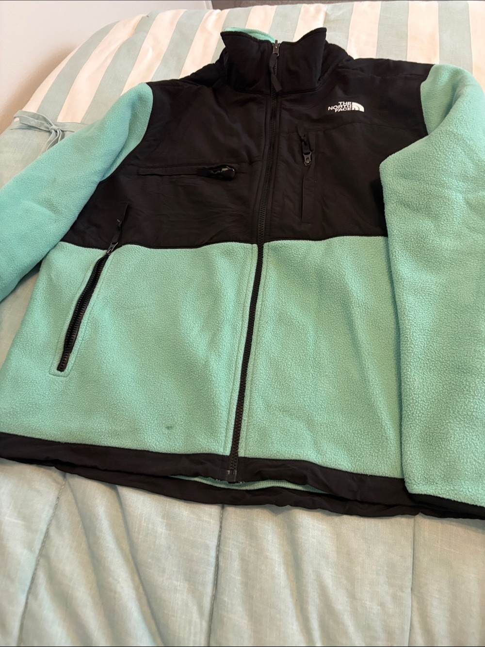 The North Face Mint nGreen and Black